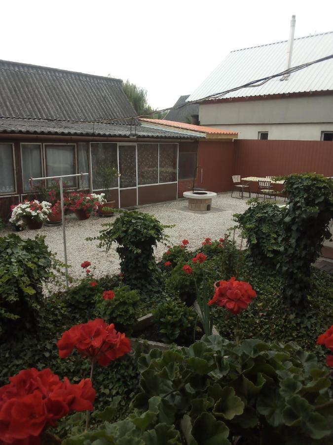 Vadkacsa Apartmanhaz Medencevel Zamárdi Exterior photo